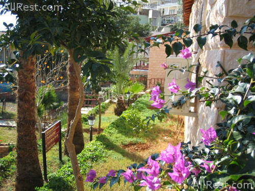 Green Terrace Alanya Otel 8